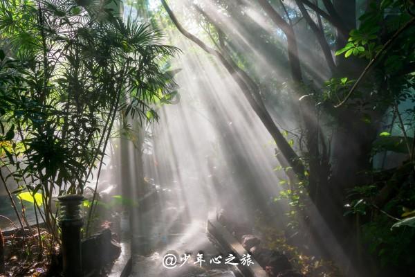 贪吃鼠吃豆豆